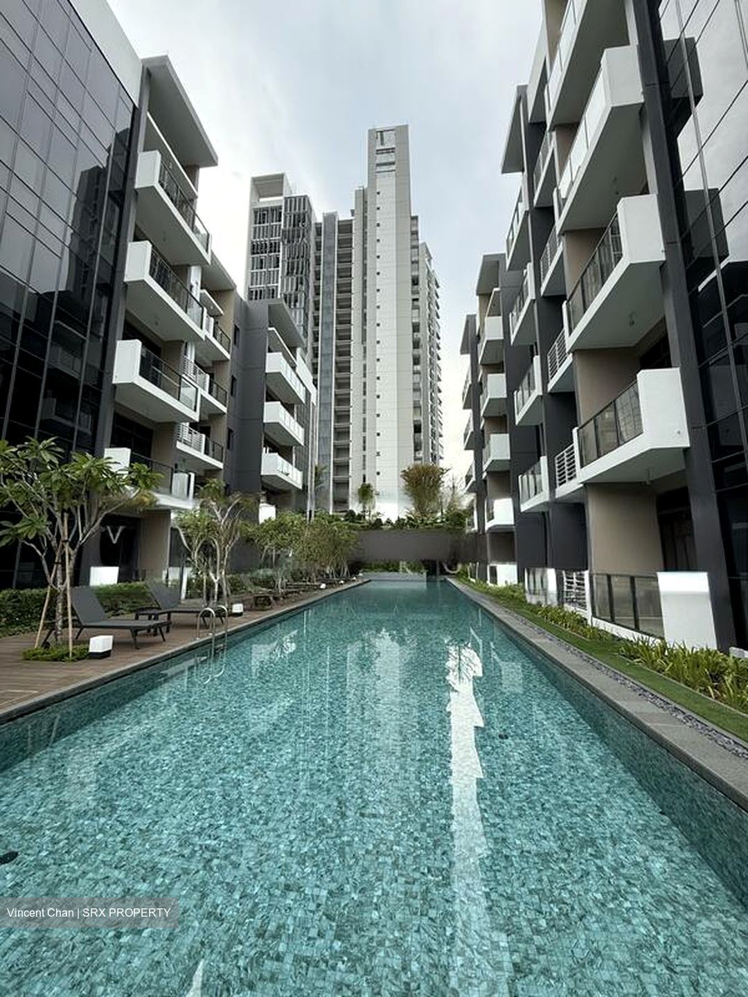 The Arden (D23), Apartment #558076401